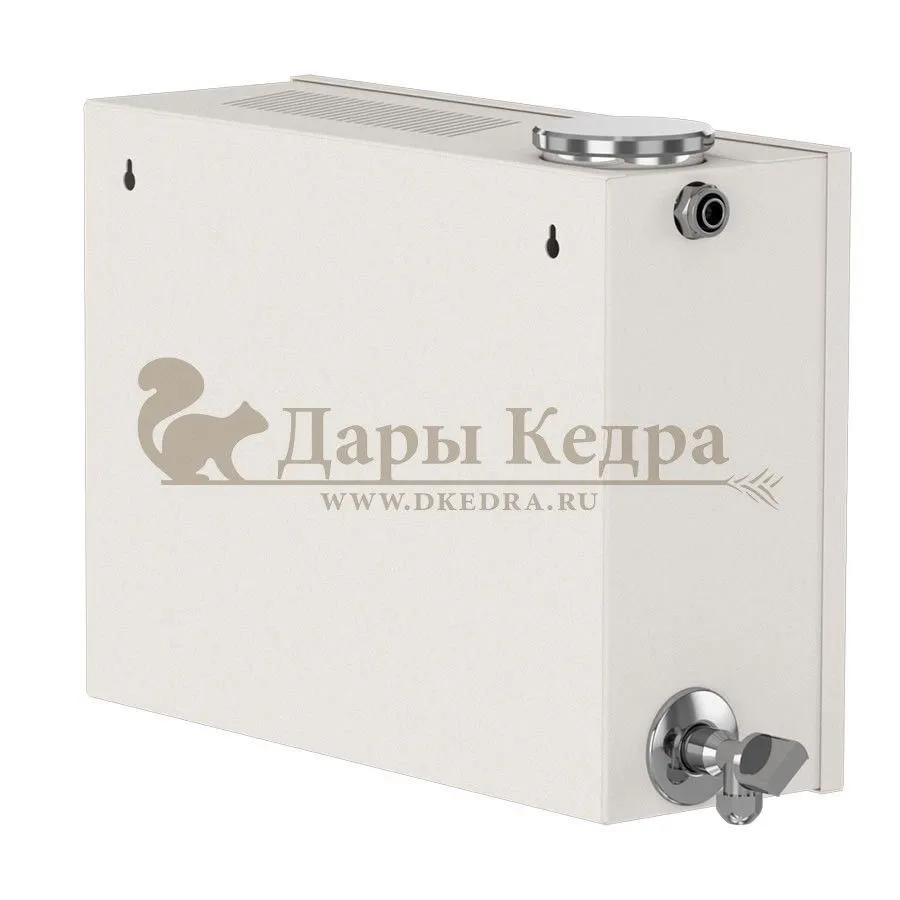 Парогенератор проточный, 4 кВт с выносным цифровым пультом управления