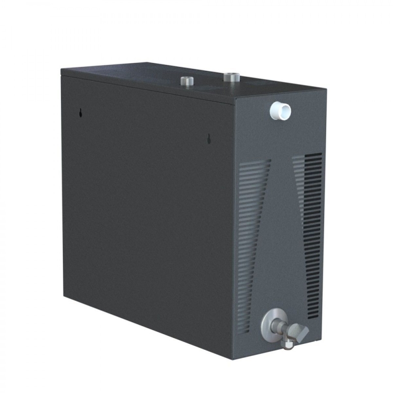 Парогенератор проточный c выносным/встроенным цифровым пультом управления, 6 кВт