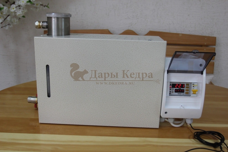 Парогенератор проточный, 2 кВт с выносным цифровым пультом управления